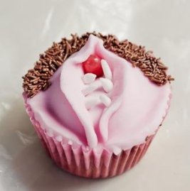 muffin_skapabarmar_vagina
